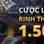 cược live casino